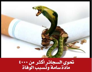 GSO 2012 Constituents - toxic substances, death (Arabic)